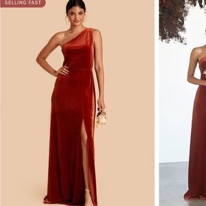 Birdy Grey Kira Burnt Orange Velvet one shoulder dress. Bridesmaid. Size small